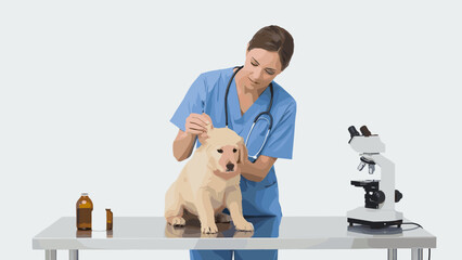Veterinarian clinic scenes set. Female vet examining cute puppy dog. Doctor performing surgery. Consultation with owner. Animal hospital healthcare checkup. Medical treatment bundle.