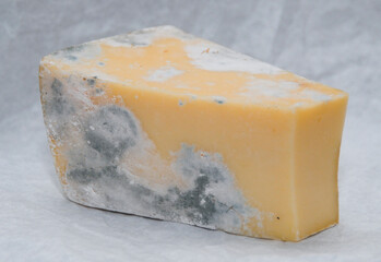 Contaminated cheese shown from different angle, mold coverage exposes food spoilage process,...
