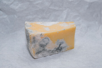Spoiled cheese surface with visible mold patches, still life highlights organic decay, food waste problem and danger of consuming expired dairy products. © Aleksandra