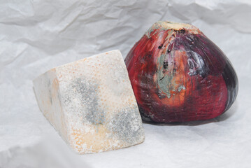 Moldy onion and cheese presented as still life, moldy surface reveals bacterial growth and food...