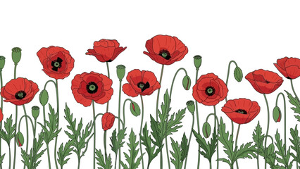 Obraz premium Decorative Border of Red Poppies and Green Leaves on White Background