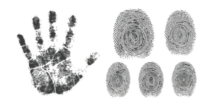 Gritty black handprint and realistic fingerprint patterns vector illustration set for identity and security concepts