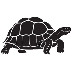 Black Silhouette of a Tortoise with Detailed Shell Pattern on a White Background