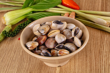 Raw fresh wild clams mollusc © Andrei Starostin