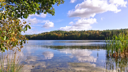 Lake Zawiad shore. Kashubia northern Poland.