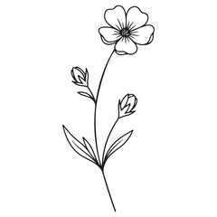 Minimalist Line Art Drawing of a Wildflower Stem with Bloom and Buds