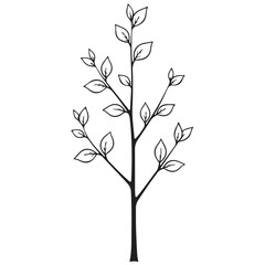 Minimalist Botanical Branch Line Art Illustration