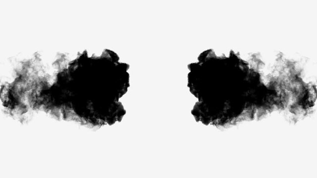 Symmetrical black ink meeting in center on white background (4K_24fps)