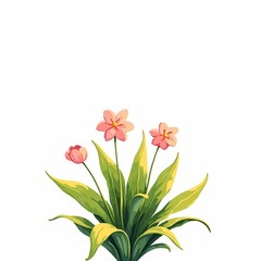 Colorful flowers in a simple pot on a white background