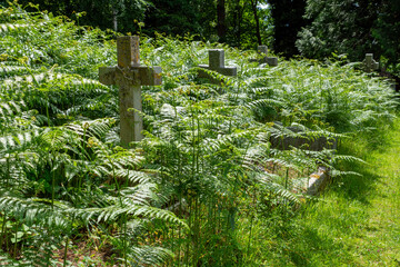 Brockenhurst, UK - May 31st 2025: Gravestones hidden in bracken at St Nicholas&rsquo; Churchyard.