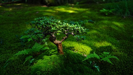 Obraz premium Lush Green Tree in Mossy Forest Landscape