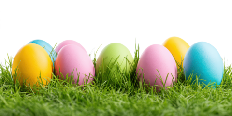 blank colored easter eggs in spring grass isolated on white or transparent png
