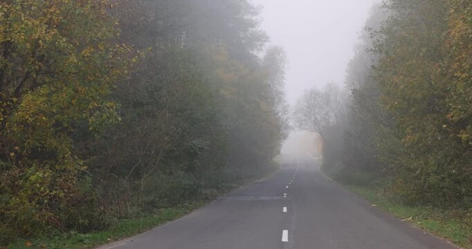 a country road with yellowing trees on the edge of the road in the autumn season, cloudy weather with a gray nondescript sky, thick fog in the morning due to climate change
