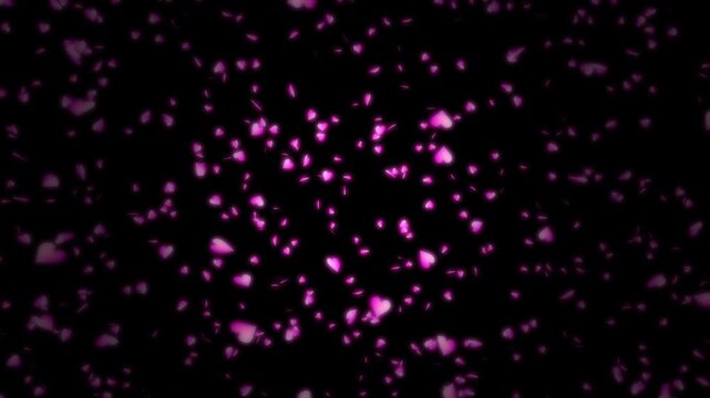 Pink heart shapes being lit up and falling down on black background. Abstract background for Happy Valentine's day and wedding ceremony.