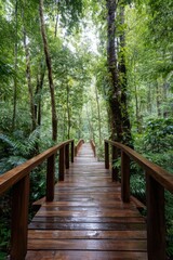 Obraz premium Wooden walkway through lush tropical forest with towering trees and dense foliage