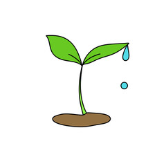 A small green plant with a droplet of water on it