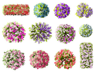 Vector watercolor blooming flower tree or forest top view isolated on white background for landscape plan and architecture drawing,plant for environment or garden,botanical element for exterior layout © pimchanok