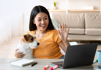 Pretty young asian woman with dog having video conference via laptop, smiling lady freelancer...