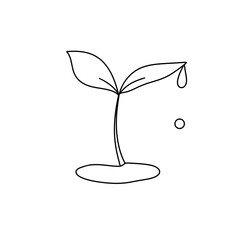 A small plant with a droplet of water on it