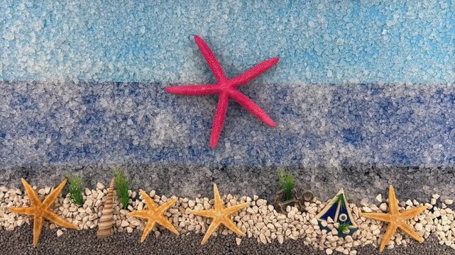 Stop Motion Animation of a Large Pink Starfish in a Crystal Salt Oce
