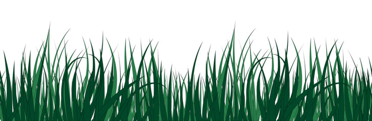 Green grass horizontal background, frame