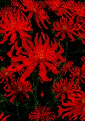 งานศิลปะที่ไม่มีชื่อ