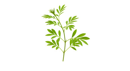 Obraz premium Green Plant Leaf Branch Illustration Design