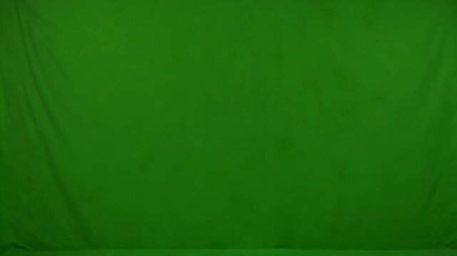 Green Screen: A blank backdrop, perfect for your creative endeavors, provides the space for endless imagination.