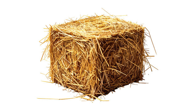 Close-up of a square hay bale, showing texture and detail
