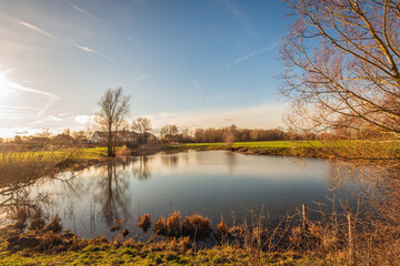 A small lake at the end of a sunny, windless winter day. Bare trees, shrubs, and reeds line the lake. Houses stand in the background. The photo was taken in the Dutch province of North Brabant.