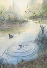 wild ducks on a pond on a foggy morning, watercolor