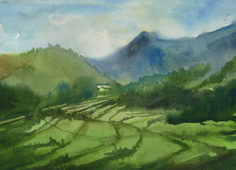 Mountain landscape with tea bushes