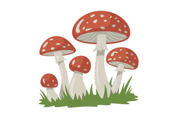 Red mushrooms in grass cartoon fungi isolated on a transparent background