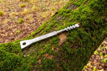 Obraz premium Metal key rests on moss-covered tree trunk. Forest floor with leaves and grass visible in background.