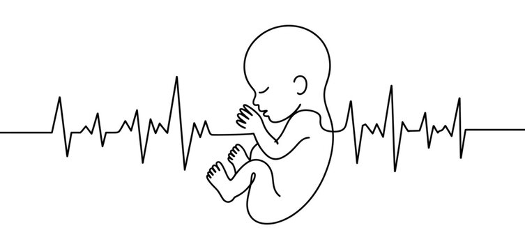 Fetus and heartbeat line drawing symbolizing prenatal life and health monitoring and care.