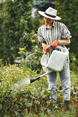 Women pours flowers in the garden with watering can