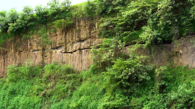 Tall brown rocky cliff face covered with lush green vegetation in Ranu Manduro, Mojokerto. Scenic geological escarpment with wild grass and trees in tropical Southeast Asia nature landscape.