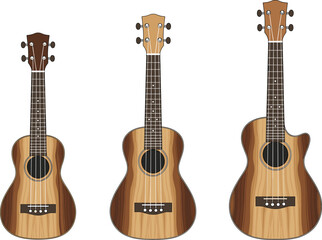 Obraz premium Acoustic Guitar Set Different Body Shapes Vector Illustration Isolated on White Background for Music Instrument Design