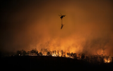 forest fire disaster is burning caused by human