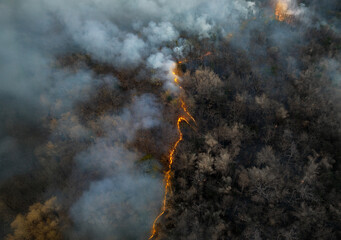Wildfires release carbon dioxide (CO2) emissions and other greenhouse gases (GHG) that contribute to climate change.