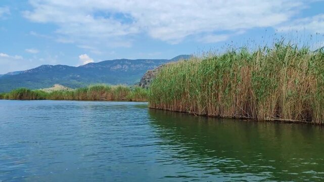beautiful horizontal hd video of river with reed cattail dalyan turkey high quality hd background of a mountains and blue sky with copy space perfect for campaigns