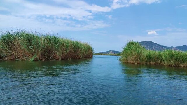 beautiful horizontal hd video of river with reed cattail dalyan turkey high quality hd background of a mountains and blue sky with copy space perfect for campaigns