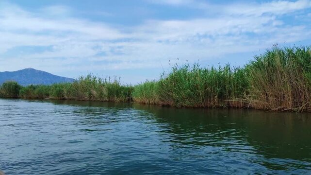 beautiful horizontal hd video of river with reed cattail dalyan turkey high quality hd background of a mountains and blue sky with copy space perfect for campaigns
