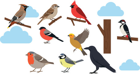 Fototapeta premium Bird Species Collection Flat Vector Illustration Set with Songbirds, Perching Birds, Clouds, and Tree Branch Elements