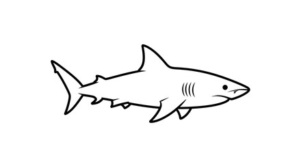 Obraz premium Shark Drawing Line Art Illustration.