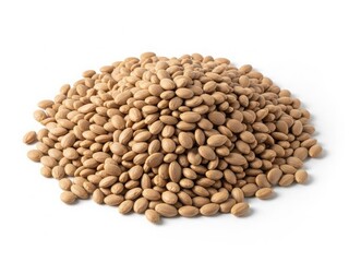 Naklejka premium Pile of brown lentil seeds on white background