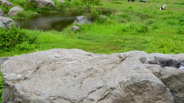 Close-up view of a large grey boulder texture with a blurred green meadow and small natural pond in the background. Natural stone podium ideal for product display or organic nature background.