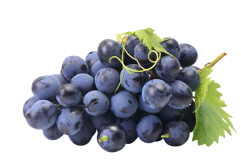 Bunch of grapes isolated on white background