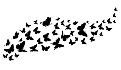 Decorative flying butterfly silhouette swarm vector set