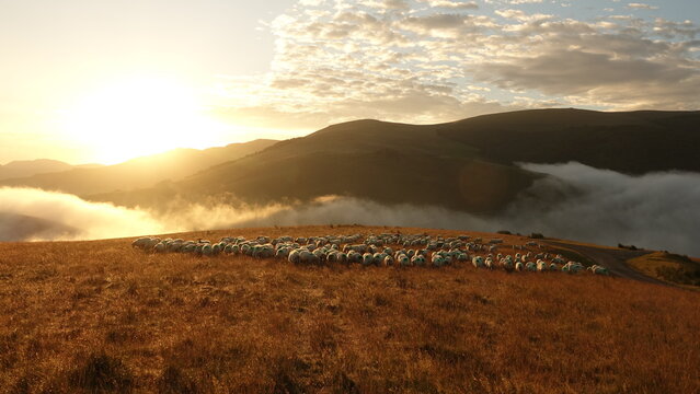 sunrise in the mountains